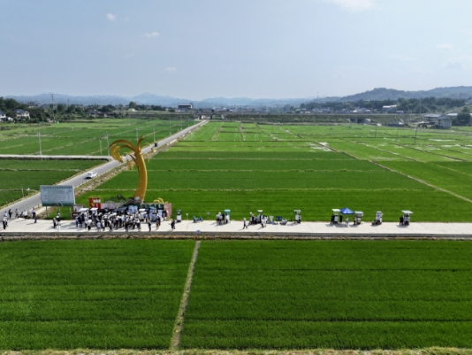 2025年全国秋粮病虫害发生趋势会商会在我省怀化召开3 2025年全国秋粮病虫害发生趋势会商会在我省怀化召开3
