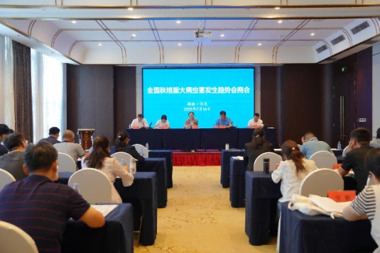 2025年全国秋粮病虫害发生趋势会商会在我省怀化召开 2025年全国秋粮病虫害发生趋势会商会在我省怀化召开