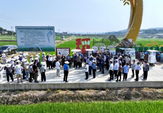 2025年全国秋粮病虫害发生趋势会商会在我省怀化召开2 2025年全国秋粮病虫害发生趋势会商会在我省怀化召开2